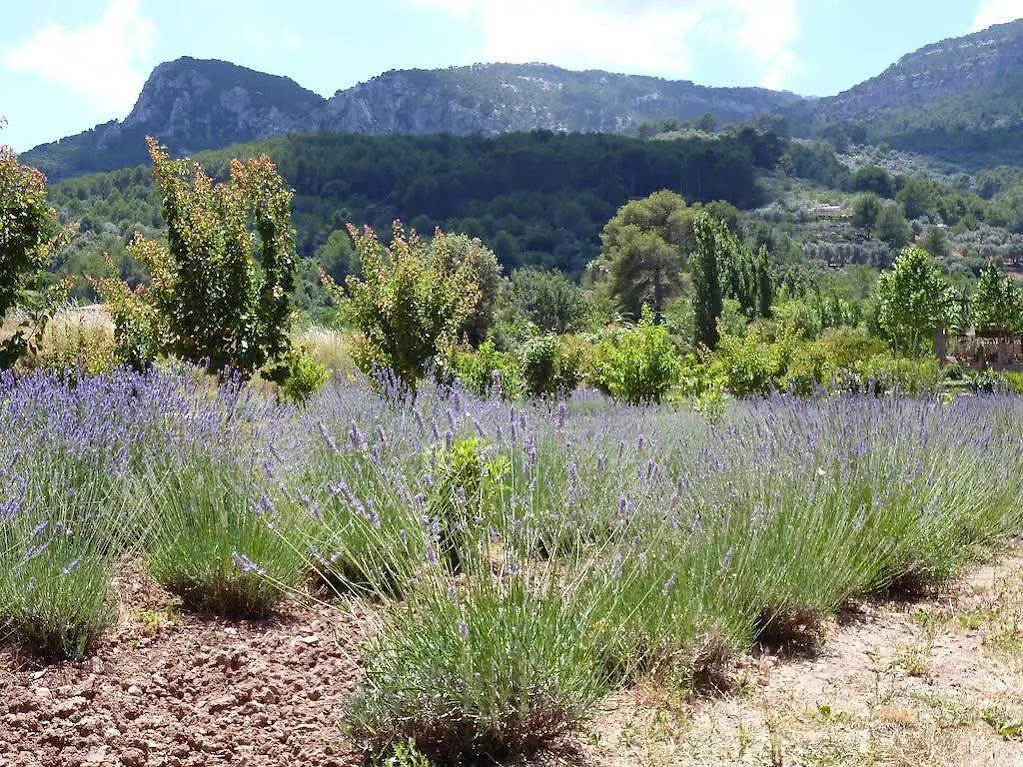 Hotel Finca Ca N'Ai - Adults Only Sóller 4*,